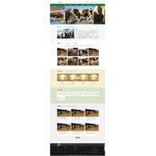 养殖场网站模板