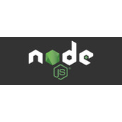 Was bedeutet Schluck in NodeJS?