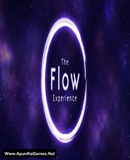 The Flow Experience