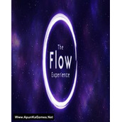 The Flow Experience