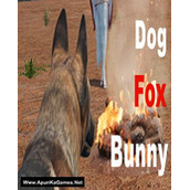 Dog_Fox_Bunny