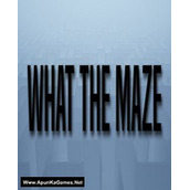 What The Maze