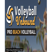 Volleyball Unbound: Pro Beach Volleyball