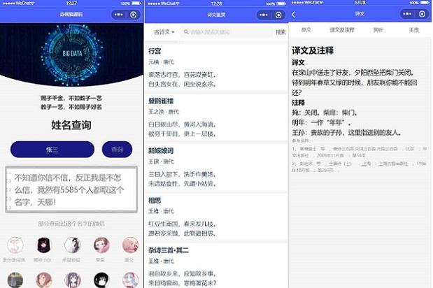 Multifunctional naming duplication checking tool WeChat applet source code download