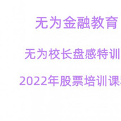 无为金融交易无为校长盘感特训营2022年股票培训视频课程