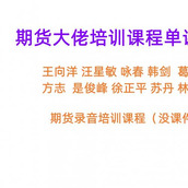 王向洋 汪星敏 咏春 韩剑 葛卫华 方志 是俊峰 徐正平 苏丹 林波 期货课程 （音频）期货大佬培训单课系列