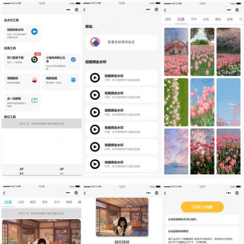 Multi-interface with avatar pendant to create short video to remove watermark WeChat applet source code