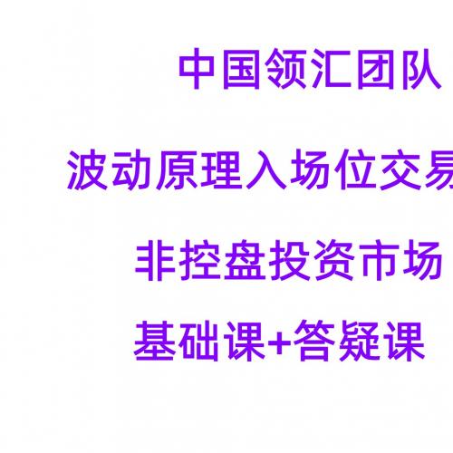 中国领汇团队 波动原理入场位交易系统 非控盘投资市场外汇系统培训基础视频课程