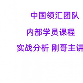 中国领汇团队 刚哥主讲 学员内部分析实战课程 外汇期货培训高阶实战训练视频课程