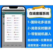 在线客服系统源码外贸聊天即时通讯带翻译多语言接待