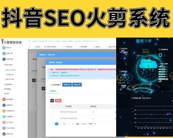 Douyin SEO 소방 시스템 Douyin 매트릭스 관리 짧은 비디오 매트릭스 문의 고객 의도 사용자 확보 로켓 시스템 비디오 관리 Douyin SEO 순위