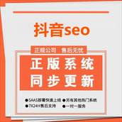 抖音seo-全功能全插件SaaS正版坑位