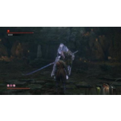 Análisis de la verdadera identidad de Sekiro, el monje que rompió los preceptos