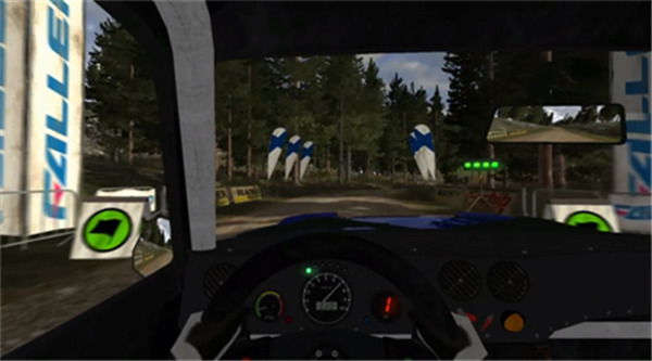 Corrida Rally 3