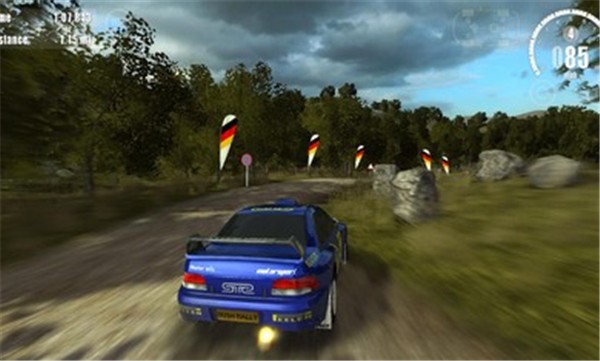 Corrida Rally 3