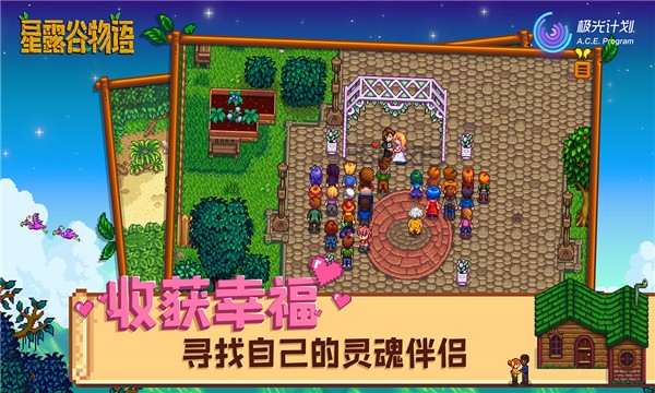 stardew valley游戏下载