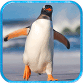 Penguin Simulator Android version download