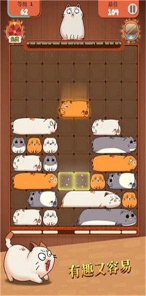 Official version of Cat Puzzle