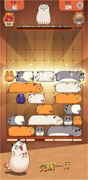 Official version of Cat Puzzle