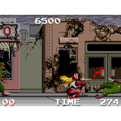 Ninja Warrior(rom)