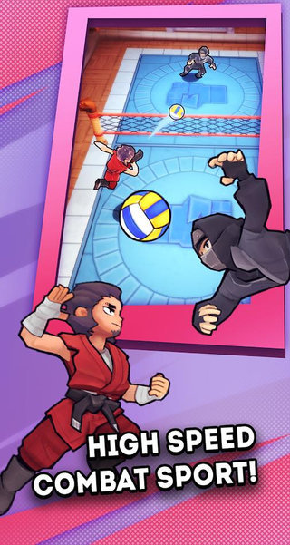 kung fu volleyball