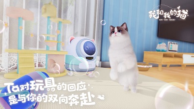 我和我的猫2023最新版