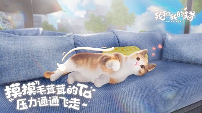 我和我的猫2023最新版