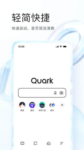 Quark network disk