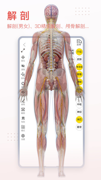 3dbody解剖图软件