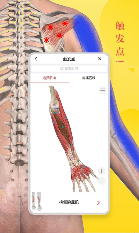 3dbody解剖图软件