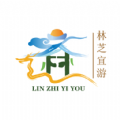 Приложение Linzhi Yiyou