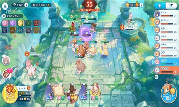 แพ็คเกจการติดตั้ง Princess Connect Auto Chess