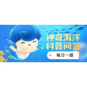 Alipay 2023.4.7 Magical Ocean Science Questions and Answers