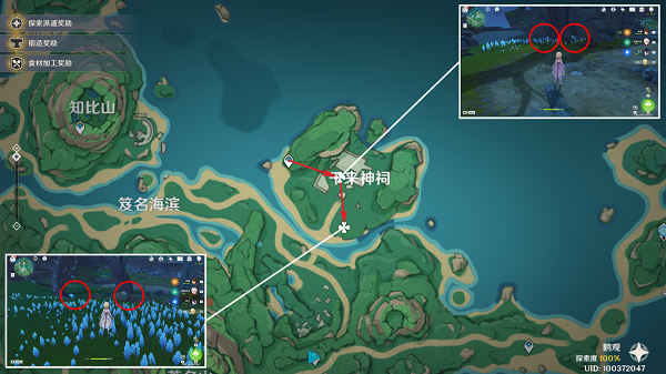 Where is the location of Genshin Impact?