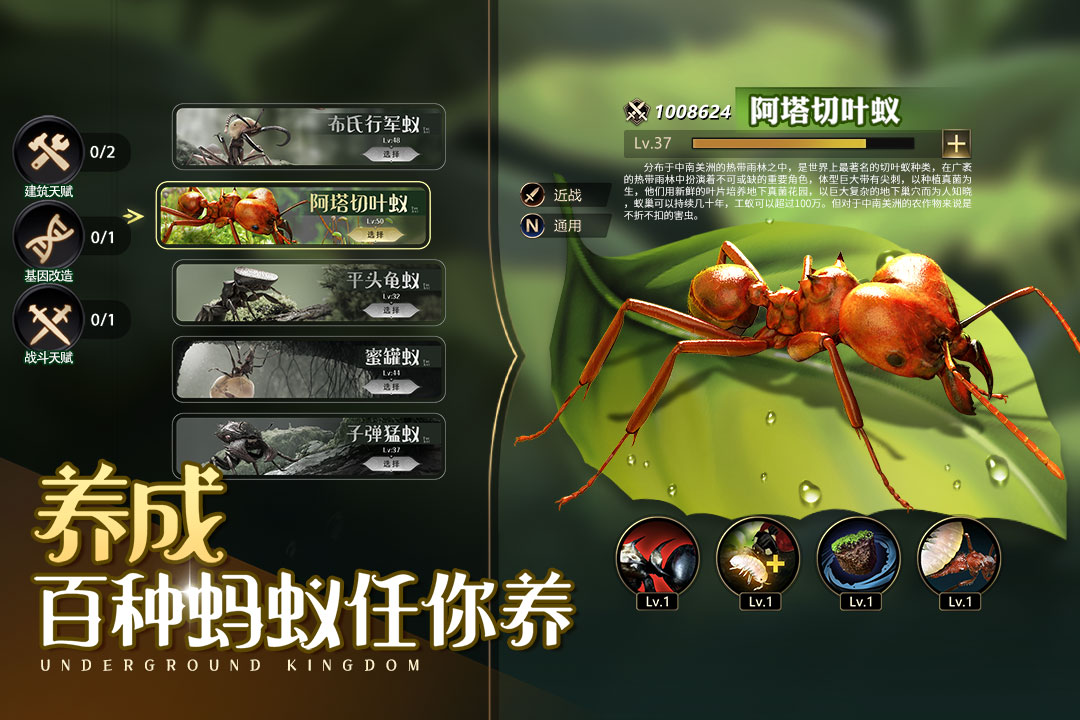 Little Ant Kingdom Xiaomi Edition