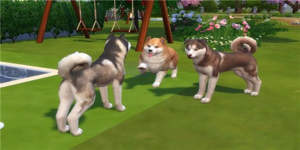 Pet raising mobile game