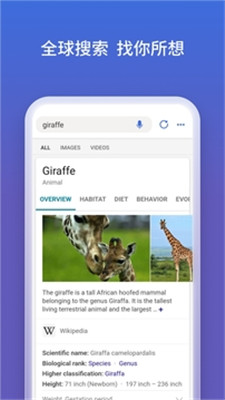 Microsoft Bing app free