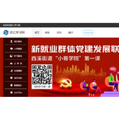 Qual é o endereço do site da versão web da Universidade de Zhejiang?