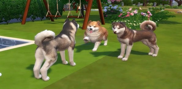 Complete collection of dog mobile games