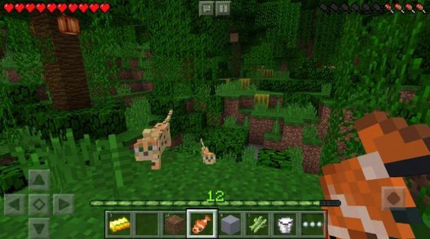 ตรีศูลเพิ่มเติมใน minecraft