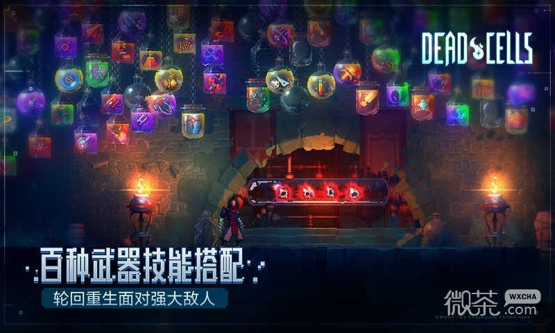 Rebirth Cell NetEase Edition