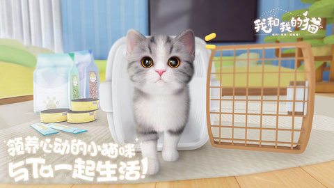 我和我的猫中文版