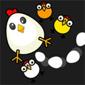 A group of fighting chickens Android download