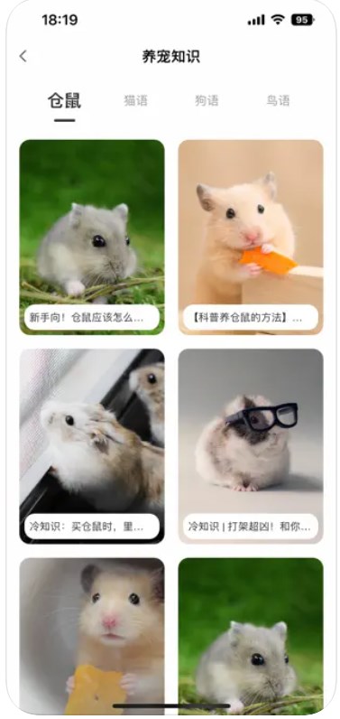 My hamster daily app