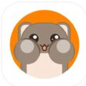 My hamster daily app