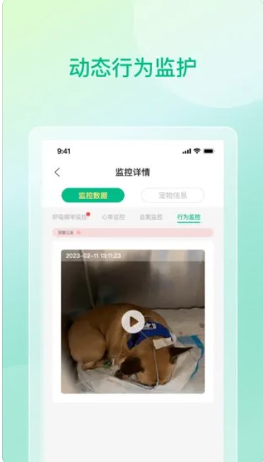 pet doctor housekeeper app