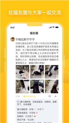 哈啰街猫app