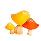 Mushroom app