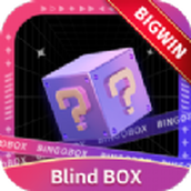 Bingo blind box app