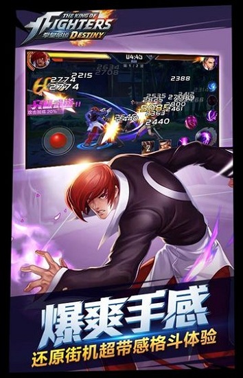 Издание King of Fighters Destiny Metamorphosis